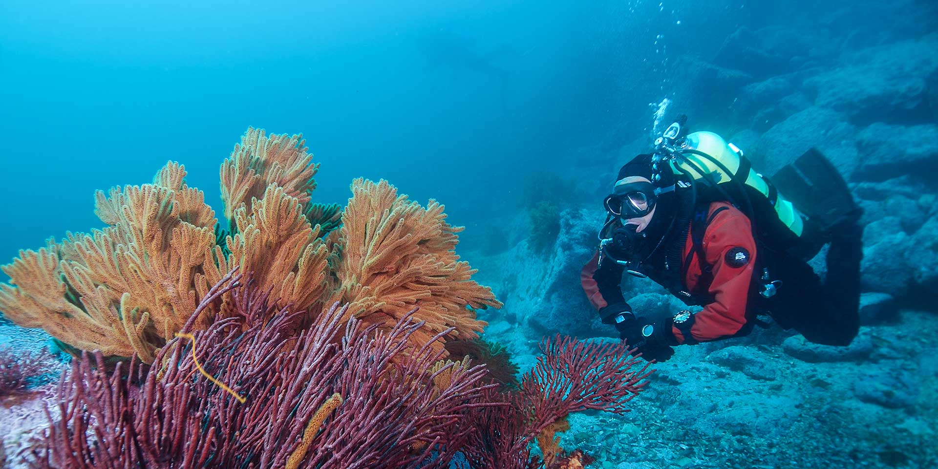 Buceo Baja California